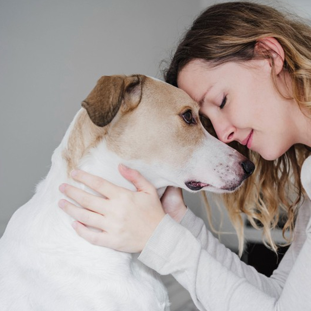 Técnicas para mejorar la salud mental de perros en Reus ESCU DOG